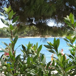 Beachfront & Apartment